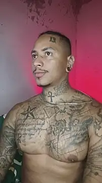 Snapshot of David_tatto1 chatting on February 2026 02:52:02 AM David tatto1 online show from February 2026 02:52:02 AM