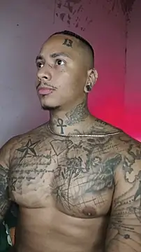 Snapshot of David_tatto1 chatting on February 2026 03:17:01 AM David tatto1 online show from February 2026 03:17:01 AM