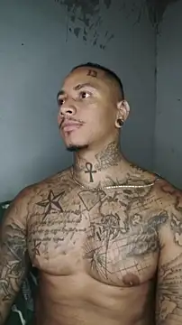 Snapshot of David_tatto1 chatting on March 2026 03:34:02 AM David tatto1 online show from March 2026 03:34:02 AM