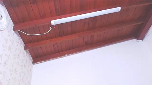 celeste moonx online show from October 2025 11:55:01 AM