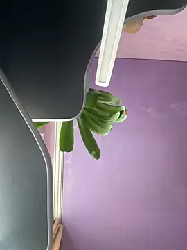 Soft Pleasure online show from October 2025 10:59:01 AM