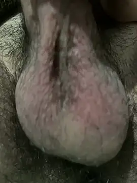 tucolageno seductor online show from July 2026 02:37:02 AM