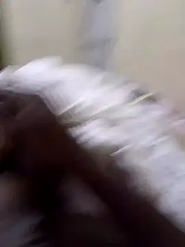 92donis online show from December 2025 07:31:01 PM