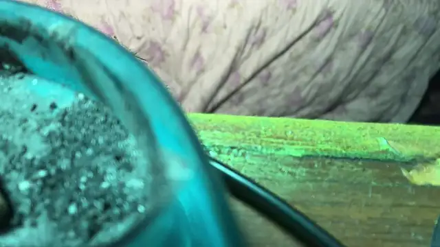 HodgeVibes online show from April 2026 11:49:01 AM