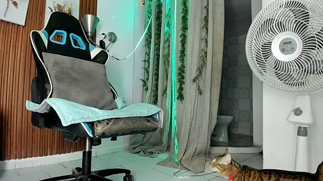 Darwin mayo online show from December 2025 05:32:01 PM