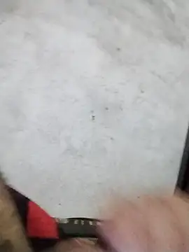 salimbasha online show from April 2026 01:38:01 AM