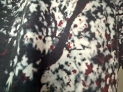 dabeibe online show from January 2026 08:57:02 PM