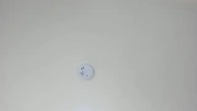 pamemiller1 online show from October 2025 02:33:01 AM