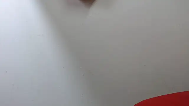 lola warner online show from October 2025 03:40:01 AM