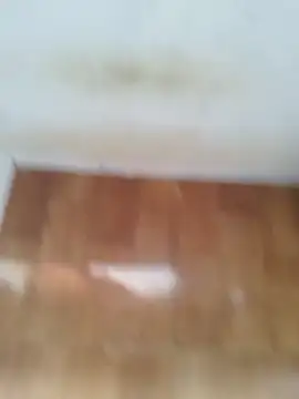 O Mascarado NK online show from March 2026 12:43:02 PM