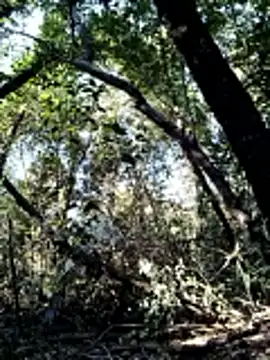 KalendaXL online show from April 2026 02:47:02 PM