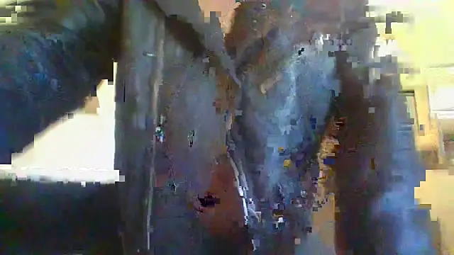 sebastianhotsex online show from October 2025 09:57:02 AM