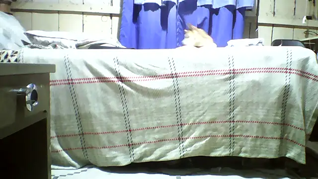 20cmloiro online show from July 2026 12:32:02 AM