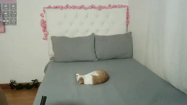 AbrilVelastegui7 online show from October 2025 03:38:01 AM