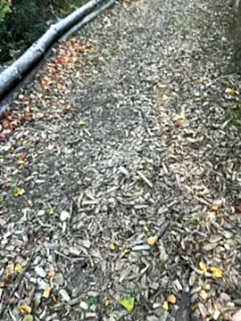 Snapshot of Mlkrrp chatting on October 2025 04:28:01 PM Mlkrrp online show from October 2025 04:28:01 PM