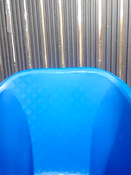 AnkitaDevi online show from October 2025 05:41:02 AM