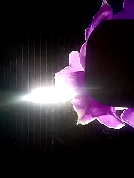 Snapshot of Ridick2025 chatting on October 2025 11:13:02 PM Ridick2025 online show from October 2025 11:13:02 PM