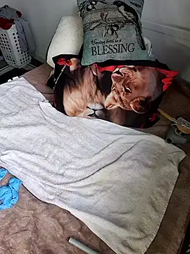 Wilsonn86 online show from February 2026 08:29:02 AM