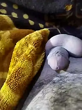 ADAM50001 online show from April 2026 02:42:02 AM