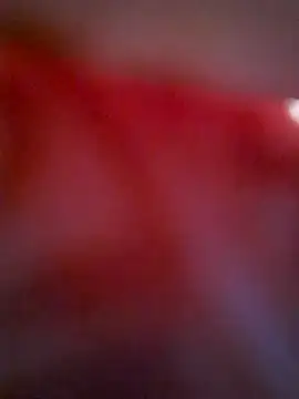 Snapshot of samoomaaa chatting on October 2025 07:52:01 AM samoomaaa online show from October 2025 07:52:01 AM