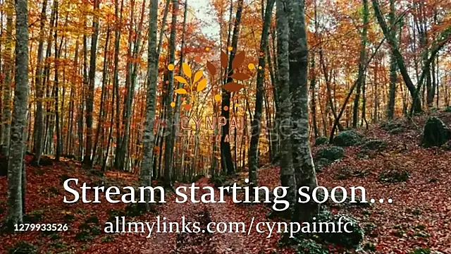 Snapshot of Cynpai chatting on November 2025 04:29:02 AM Cynpai online show from November 2025 04:29:02 AM