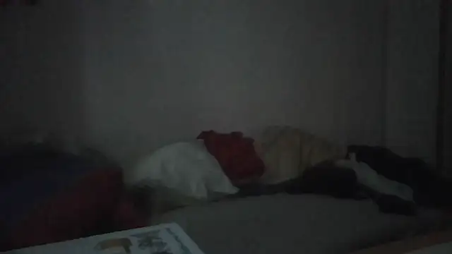 ARTANIS20 online show from January 2026 07:35:01 AM