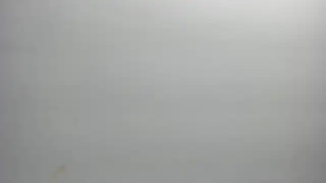 ximena vasquez8 online show from February 2026 03:07:02 AM