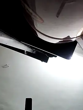 papukurty online show from February 2026 05:57:02 PM