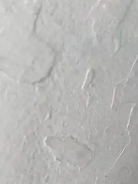 Snapshot of yaraa49 chatting on October 2025 05:07:01 AM yaraa49 online show from October 2025 05:07:01 AM