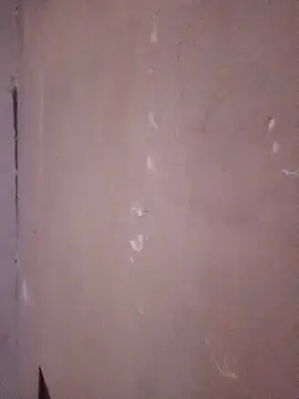 juanpa8453 online show from April 2026 04:03:02 AM