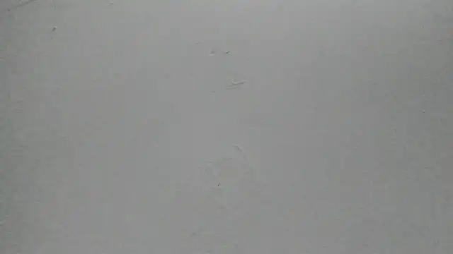 Sophia Ebony online show from February 2026 12:04:01 PM