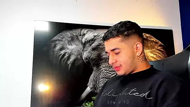 king falconer online show from November 2025 03:18:02 AM