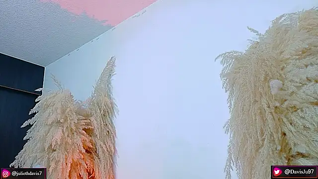 JulietaDavis online show from April 2026 09:34:02 AM