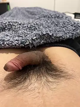 josefasanchez online show from October 2025 08:08:01 PM