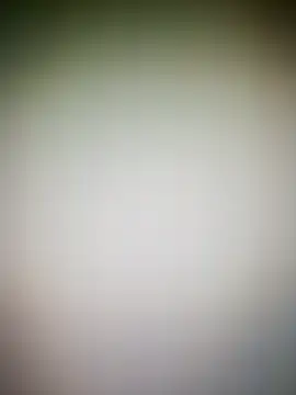 guridosul051 online show from March 2026 12:19:01 PM