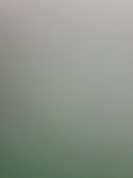 guridosul051 online show from April 2026 11:48:01 AM