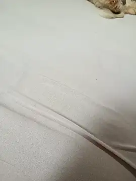 SIGILOCUIABA online show from January 2026 01:49:01 PM