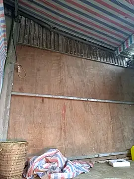 yoowwmr online show from November 2025 03:19:01 AM