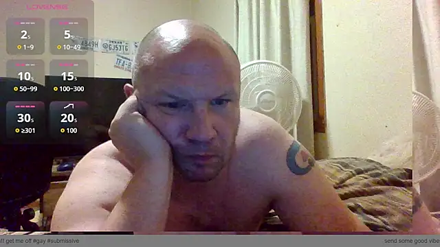 horserenoir online show from September 2025 07:02:01 AM