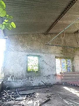 Sunny cute love online show from October 2025 03:04:01 AM