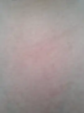 BigBoobs186 online show from October 2025 01:28:02 AM