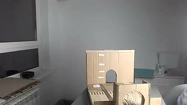 Qaynii online show from October 2025 02:40:01 PM