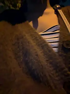 Meii-meyy online show from January 2026 02:54:02 PM