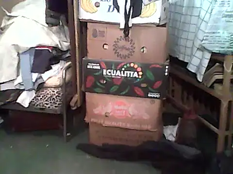 A1B3- online show from December 2025 02:44:02 PM