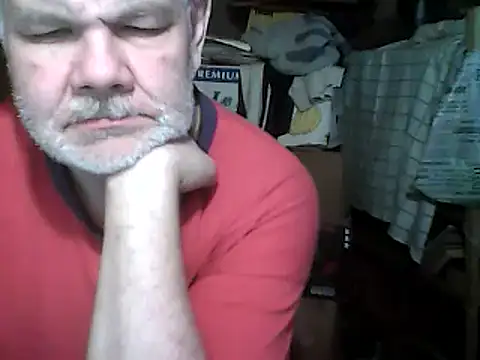 A1B3- online show from December 2025 06:31:01 AM