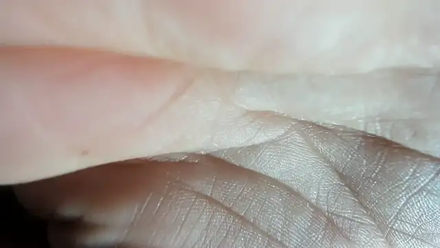 Daphne girlsex online show from March 2026 03:56:01 AM