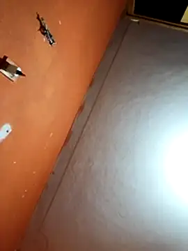 Xhimo5 online show from February 2026 08:35:01 AM