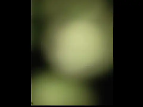 sobit1234 online show from October 2025 06:52:01 PM