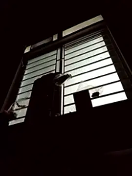 spsale online show from April 2026 09:50:02 PM