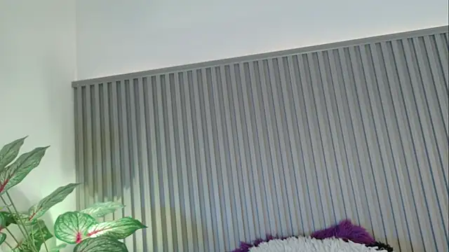 Celeste Presstigge online show from November 2025 11:26:01 PM